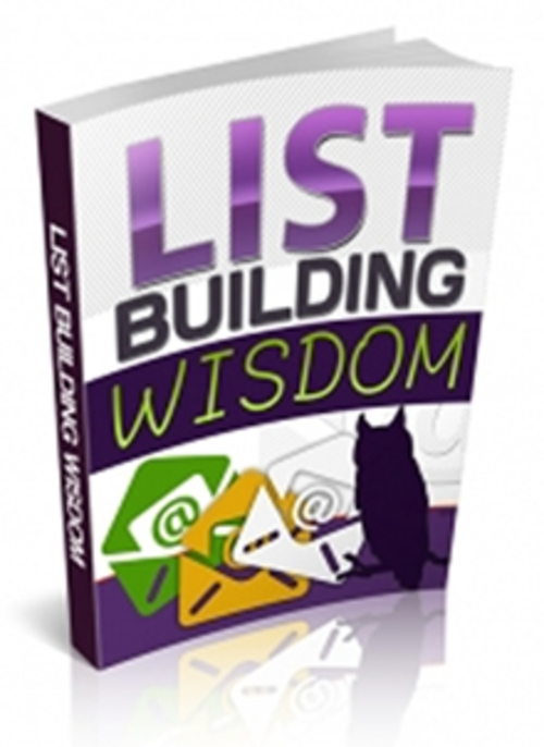 Product picture Ebook on List Building