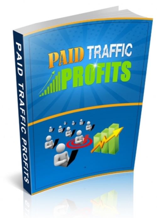 Product picture Ebook on Paid Traffic Profits 